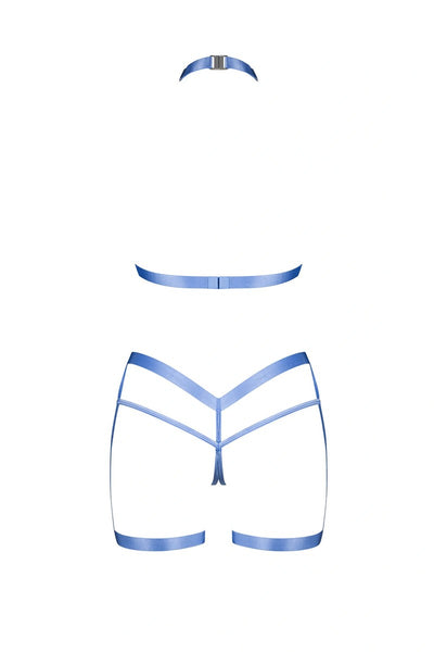 Ensemble harnais bleu Shaderi