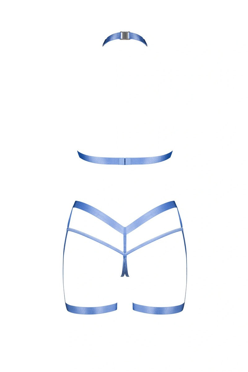 Ensemble harnais bleu Shaderi