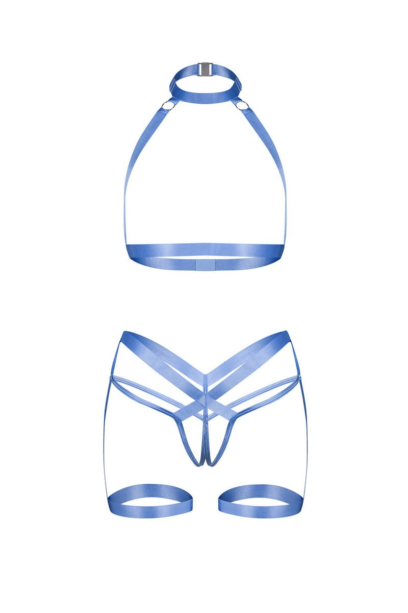 Ensemble harnais bleu Shaderi